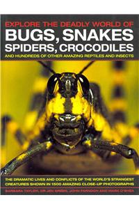 Explore the Deadly World of Bugs, Snakes, Spiders, Crocodiles: The Dramatic Lives and Conflicts of the World's Strangest Creatures Shown in 1500 Amazing Close-up Photographs