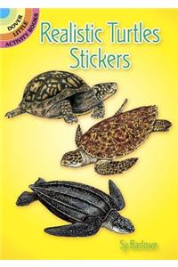 Realistic Turtles Stickers