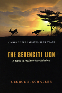 Serengeti Lion