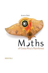 Moths of Costa Rica's Rainforest
