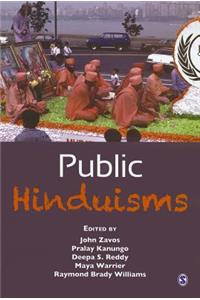 Public Hinduisms