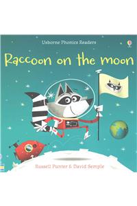 Raccoon on the Moon