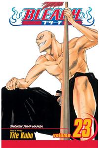 Bleach, Vol. 23