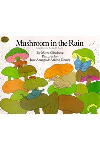 Mushroom in the Rain