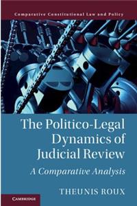 Politico-Legal Dynamics of Judicial Review
