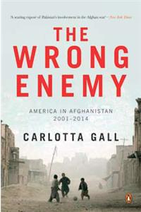 The Wrong Enemy: America In Afghanistan 2001-2014