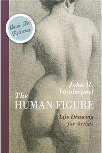 Human Figure (Dover Anatomy for Artists)