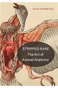 Stripped Bare