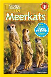 Meerkats (National Geographic Kids Readers, Level 1)