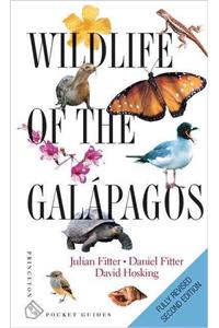 Wildlife of the Galápagos