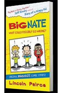 Big Nate What Could Possibly Go Wrong