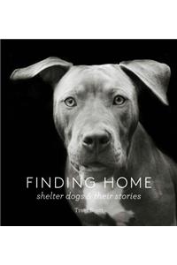Finding Home: Shelter Dogs and Their Stories