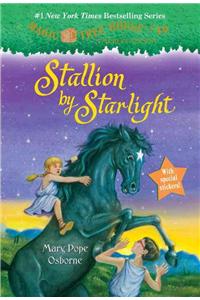 Stallion by Starlight