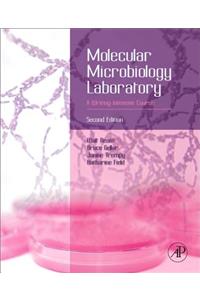 Molecular Microbiology Laboratory