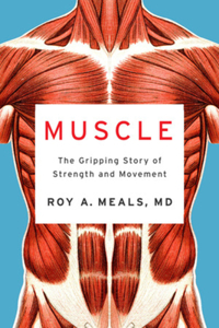 Muscle