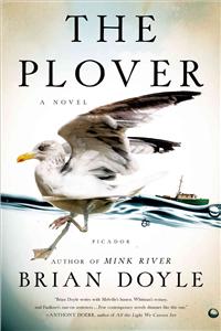 Plover