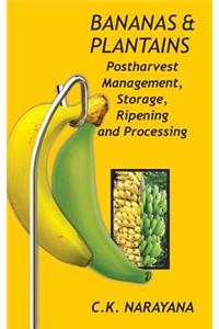 Bananas and Plantains: Postharvest Management,Storage,Ripening and Processing