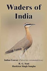 Waders of India