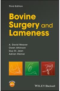 Bovine Surgery and Lameness