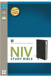 NIV Study Bible, Leathersoft, Brown/Black, Red Letter Edition