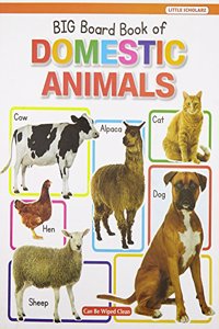 Big Board Book Of Domestic Animals