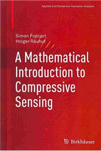 Mathematical Introduction to Compressive Sensing