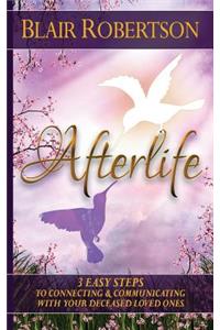 Afterlife