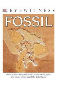 Eyewitness Fossil