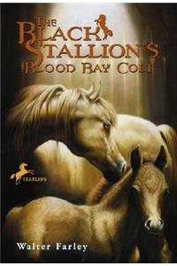 The Black Stallion's Blood Bay Colt