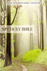 NIV, Value Outreach Bible, Paperback