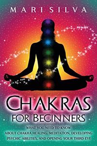 Chakras for Beginners