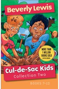 Cul–de–Sac Kids Collection Two – Books 7–12: Books 7-12