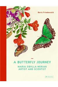 Butterfly Journey