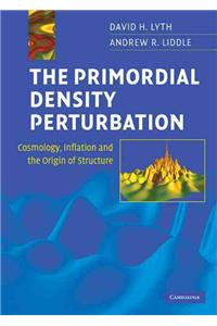 Primordial Density Perturbation