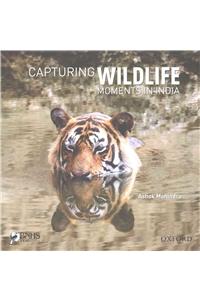 Capturing Wildlife Moments in India