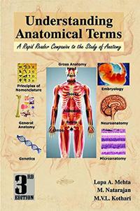 UNDERSTANDING ANATOMICAL TERMS