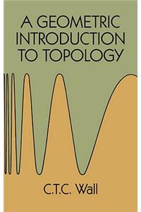 A Geometric Introduction to Topology