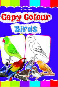 Copy Colour - Birds