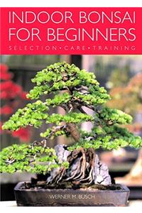 Indoor Bonsai for Beginners
