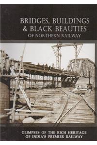 Bridges Buildings & Black Beauties North