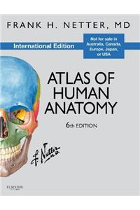 Atlas of Human Anatomy, International Edition (Netter Basic Science)