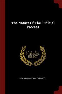 The Nature Of The Judicial Process