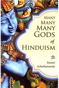 Many Many Many Gods of Hinduism