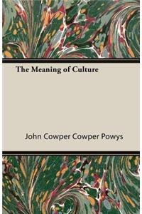 Meaning of Culture