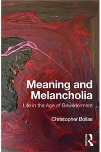 Meaning and Melancholia