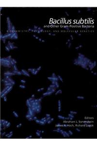 Bacillus Subtilis and Other Gram-Positive Bacteria: From Genes to Cells