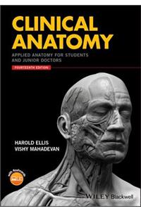 Clinical Anatomy