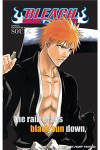 Bleach SOULs. Official Character Book
