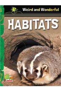 Habitats: Key stage 1