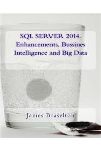 SQL Server 2014. Enhancements, Bussines Intelligence and Big Data